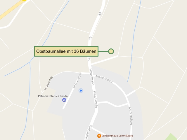 Bäume beschildert - Diese Karte zeigt, wo die Schilder und Bäume im Gemeindegebiet zu finden sind.