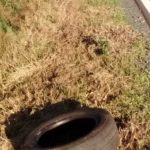 Autoreifen illegal entsorgt