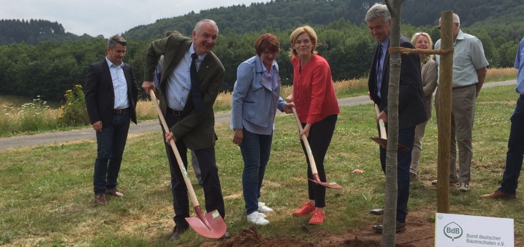 Deutschlands Baum des Jahres steht jetzt in Schmissberg
