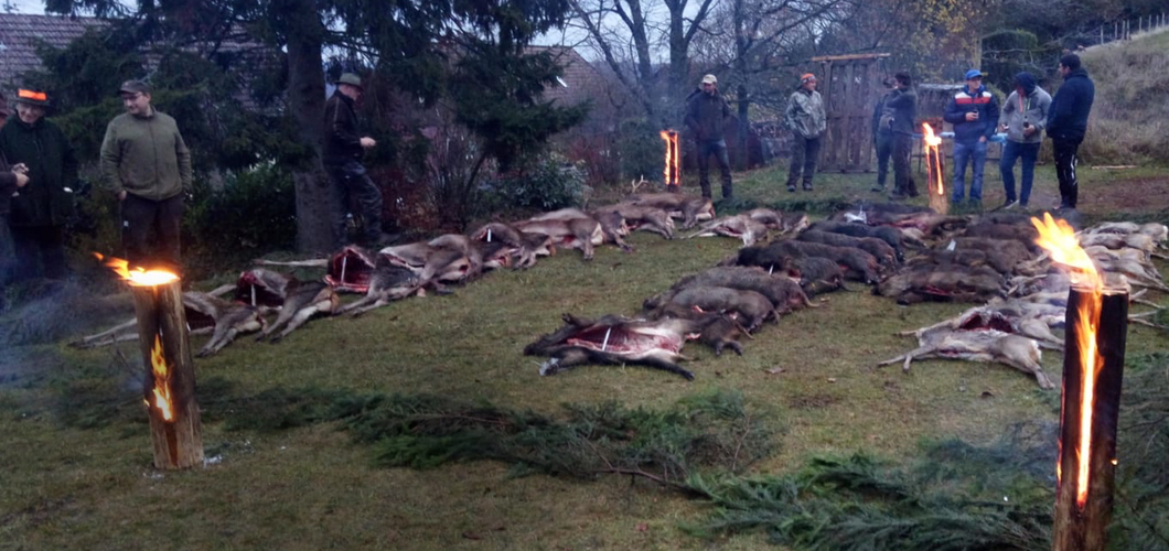 Jaeger feiern erfolgreiche Treibjagd