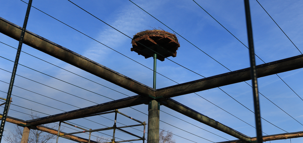 700 Meter Stahlseil werden gespannt