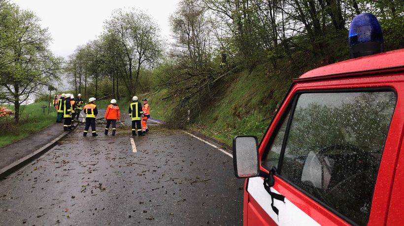 Unwetter: Umgestuerzter Baum versperrt Strasse