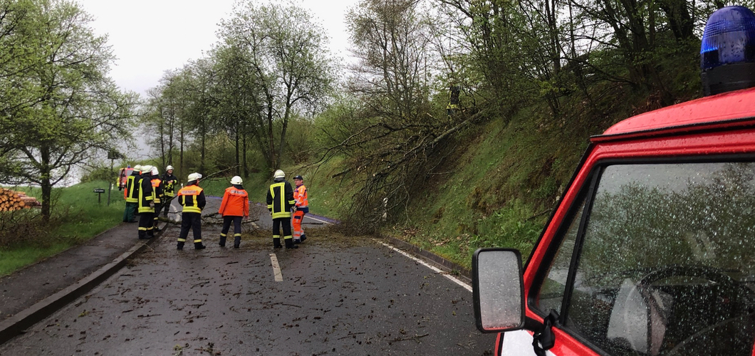 Unwetter: Umgestuerzter Baum versperrt Strasse