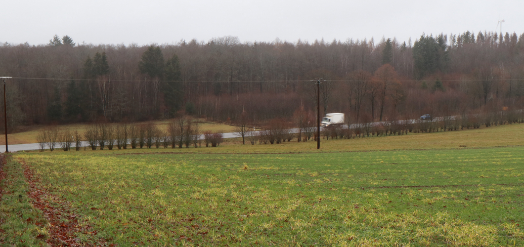 B41 Ausbau soll im Fruejahr beginnen