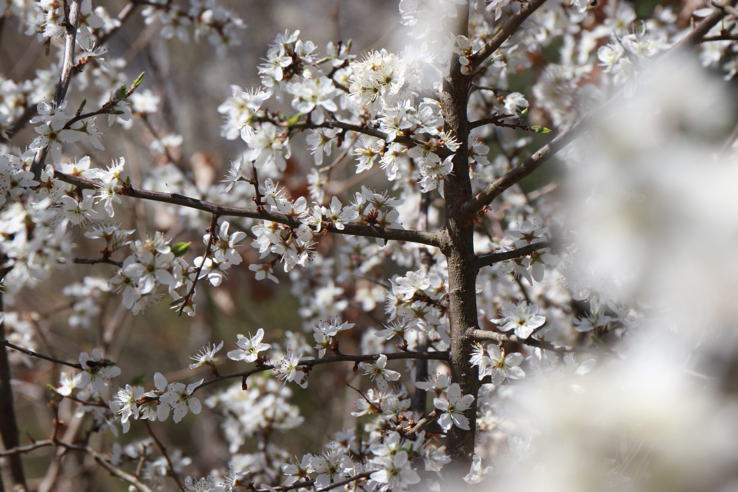 Bilder des Wanderweges 