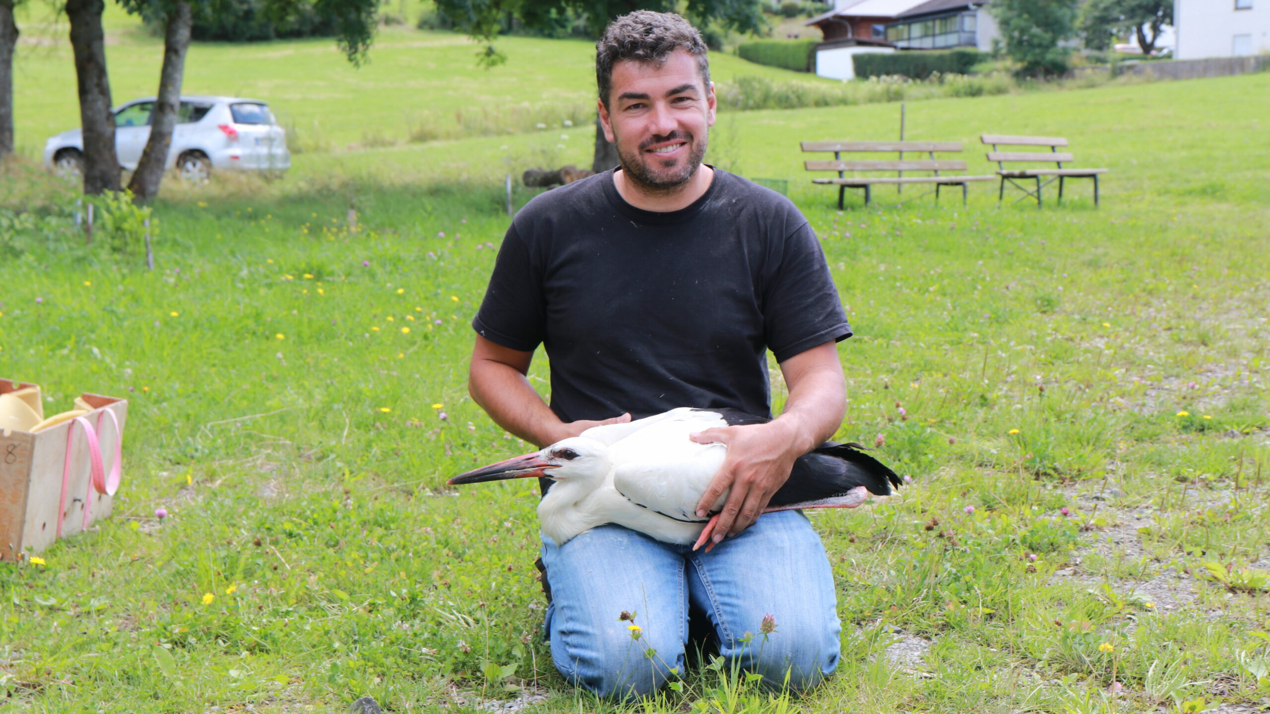 Storchenexperte Christian Reis mit dem frisch-beringten Storchen-Nachwuchs.