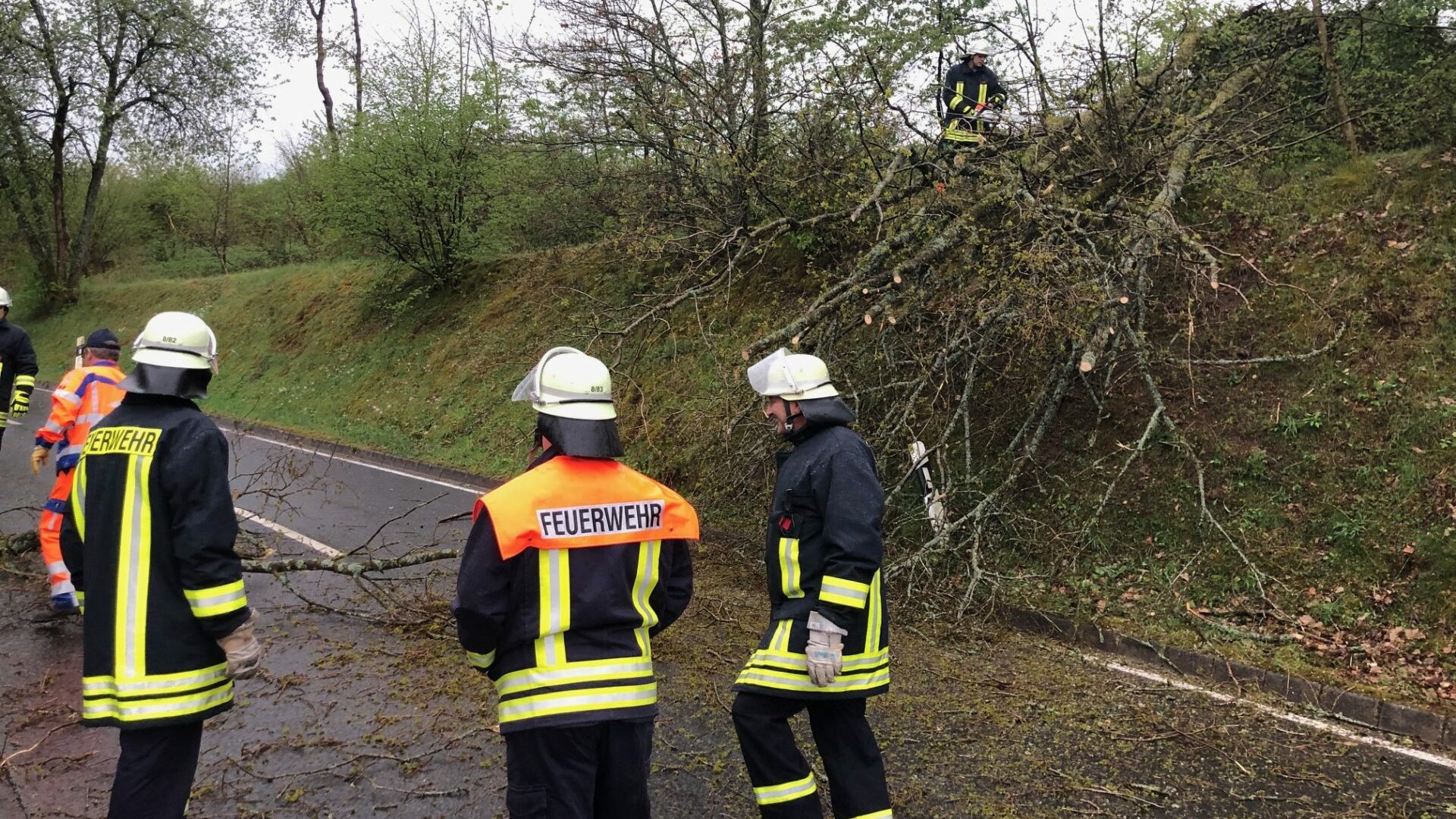 Unwetter: Umgestuerzter Baum versperrt Strasse